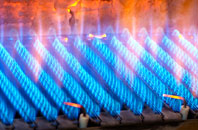 Borthwick gas fired boilers
